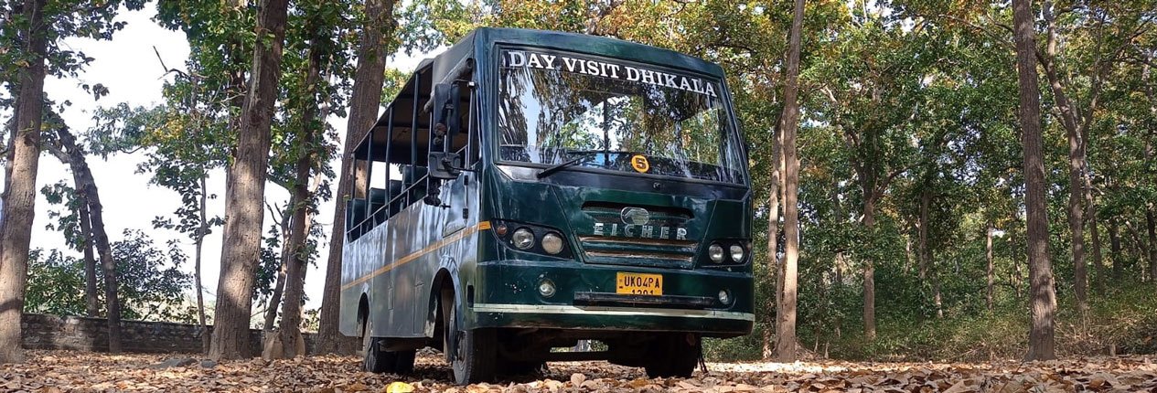 Canter safari experience in Dhikala, Jim Corbett