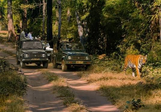 Dhela Zone Jim Corbett