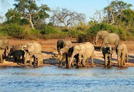 Garjiya Zone Jim Corbett