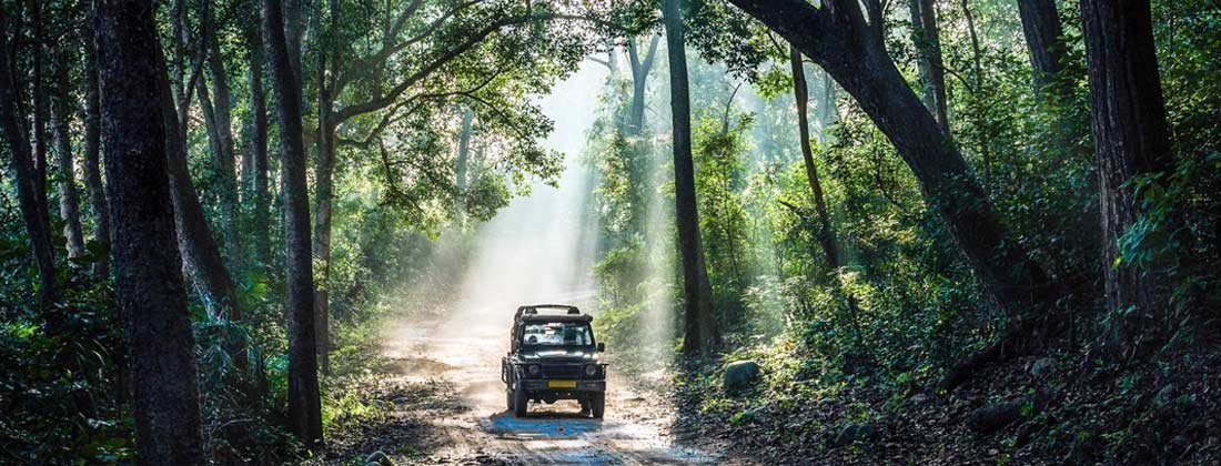 Jeep safari in Jim Corbett National Park
