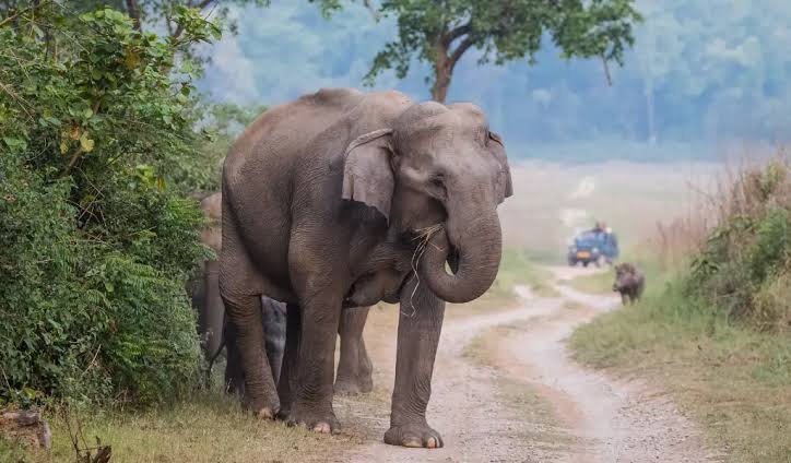 Pawalgarh Conservation Area